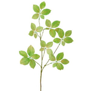 80cm uiXvC [ONSLESP7891] |lHϗtA A[gt[  t[ tFCNO[   t fR[V  Cxg p[eB[ t[AWg ԍ K[