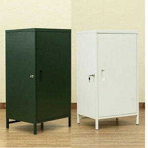 DELIOz{bNXeʃnC^Cv BK/BR/GN/WH O[ 1Zbgi1_j[SSK8253900S3] |ƋECeAƋ [Ƌ