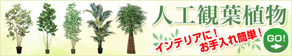 緑花堂モール　人工観葉樹木