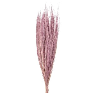 �R�L�A�� �x���[�X���[�W�[ 1��[TDLFD006914]|�h���C�t�����[�@�i�`�������f�� �t�����[�i�h���C�j �J���[�y�C�x���g�O�b�Y �A�����W�����g�p �V�[�Y���f�R���[�V���� �t�����[�M�t�g �f�B�X