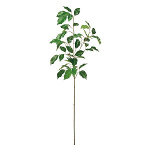 ���� �t�@�C�J�X�x���W���~�� GREEN 1�{[TDLFG000574]|�A�[�e�B�t�B�V�����t�����[ �O���[�� ���[�t �����A���y�t�F�C�N�O���[�� �l�H�ϗt�A�� �M�t�g�A�����W �C���e���A���� �f�B�X�v���C �C��
