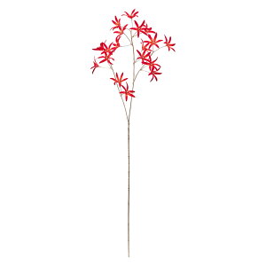 �X�^�[���[�t�����[ ��9 RED�^OR 1�{[TDLFJ002032]|�A�[�e�B�t�B�V�����t�����[�@���� �t�����[�i�A�[�e�B�t�B�V�����j ���ԁy���� �t�����[�I�[�i�����g �n���h���C�h�f�� �t�����[�A�����W��