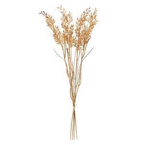 ����߂���䑩 GOLD 1��[TDLFJ002276]|�A�[�e�B�t�B�V�����t�����[�@���� �t�����[�i�A�[�e�B�t�B�V�����j ���̑��y���� �t�����[�I�[�i�����g �t�����[�A�����W�����g �C���e���A�t�����[ �M