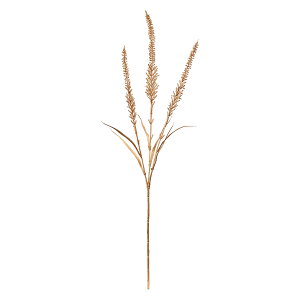 �S�[���h�t�H�b�N�X�e�[�� GOLD 1�{[TDLFJ002277]|�A�[�e�B�t�B�V�����t�����[�@���� �t�����[�i�A�[�e�B�t�B�V�����j �x���j�J�y���� �t�����[�I�[�i�����g �t�����[�A�����W�����g �C���e��