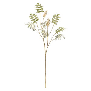 �V���C���i�i�J�}�h�X�v���[ GR�^GO 1�{[TDLFJ003114]|�A�[�e�B�t�B�V�����t�����[�@���� �����́@�ʕ��@��؁@�p�� �����́@�x���[�i���ʎ��j�y���� �t�����[�A�����W�����g �C���e���A�t����