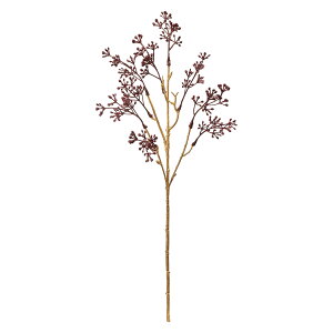 �������[�x���[ BURG�^GOLD 1�{[TDLFJ006418]|�A�[�e�B�t�B�V�����t�����[�@���� �����́@�ʕ��@��؁@�p�� �����́@�x���[�i���ʎ��j�y���� �t�����[�A�����W�����g �C���e���A�t�����[ �a���t