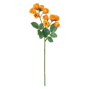 �p�[�����[�Y ��9 DKOR 1�{[TDLFM000124]|�A�[�e�B�t�B�V�����t�����[�@���� �t�����[�i�A�[�e�B�t�B�V�����j ���[�Y�@�΂�y���� �t�����[�A�����W�����g �C���e���A�t�����[ �a���t�����[ �C