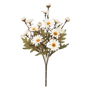 �~���f�[�W�[�u�b�V�� ��1�@�@CR�^WH 1�{[TDLFM000570]|�A�[�e�B�t�B�V�����t�����[�@���� �t�����[�i�A�[�e�B�t�B�V�����j �f�[�W�[�@�t�����l���t�����[