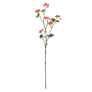 �t���[�e�x���[ ��9 ORANGE 1�{[TDLFM002001-009]|�A�[�e�B�t�B�V�����t�����[ ���� ������ �ʕ� ��� �p�� ������ �x���[�i���ʎ��j�y�t�����[�A�����W�����g �t�����[�M�t�g �C���e���A���� �X��