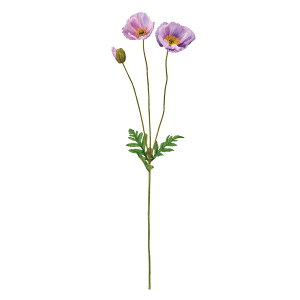 �n�~���O�|�s�[ ��11 LAVENDER 1�{[TDLFM004980-011]|�A�[�e�B�t�B�V�����t�����[ ���� �t�����[�i�A�[�e�B�t�B�V�����j �|�s�[�y�t�����[�A�����W�����g �t�����[�M�t�g �C���e���A���� �X�܃f�B