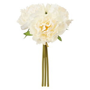 xeBsIj[oh 1@@WHITE 1[TDLFM005715]|A[eBtBVt[@ t[iA[eBtBVj sIj[@O