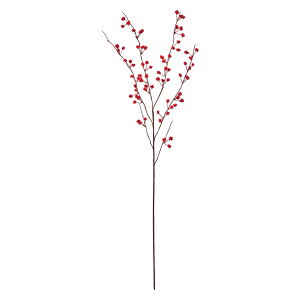 �|�����x���[ RED 1�{[TDLFM006134]|�A�[�e�B�t�B�V�����t�����[�@���� �����́@�ʕ��@��؁@�p�� �����́@�x���[�i���ʎ��j�y�t�F�C�N�O���[�� �t�����[�A�����W�����g �C���e���A�t�����[ �M