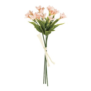 ���� �T�����[�u�o���A�u�[�P ��2 LTPK 1��[TDLFM007208-002]|�A�[�e�B�t�B�V�����t�����[ �t�����[�i�A�[�e�B�t�B�V�����j �X�e�t�@�m�`�X �W���X�~�� �u�o���A�y�C���e���A�t�����[ �t�����[�A