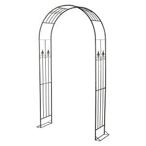 �A�C�A���A�[�`�@�S�[���h�u���b�V�� BLACK�^�@GOLDBLUSH 1��[TDLGB001007]|���� �f�B�X�v���C�Y�� �f�B�X�v���C�Y��y�t�����[�A�����W�p �v���[���g�E���蕨 �K�[�f���I�u�W�F �C�x���g�f�B�X�v