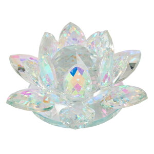 �N���X�^�����[�^�XL 1�R[TDLGG002665]|�f�R���[�V���� �I�[�i�����g �u�� �I�[���V�[�Y���y�C�x���g�p�i �N���X�^�� �I�u�W�F �C���e���A�u�� �����p�E�M�t�g �y�� �������ȒP �z
