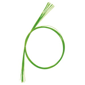 Ԑ 44@ᑐ 1[TDLMH000070]|fR[V  