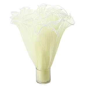 ���b�s���O �t�����v���[�c�p�[�� 28cm 156 �A�C�{���[ 1��[TDLRT075807-156]|���{�� ���b�s���O ����ށy���b�s���O���� �����p���� �u�[�P���� �f�B�X�v���C �X�܎��� �t�����[�M�t�g �C���e��