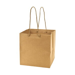 �A�����W�o�b�OS ��22 ���N�i�݂��炵�j10������[TDLSH001100-022]|���{�� ���b�s���O ����� �p�b�P�[�W �A�����W�o�b�O ���W�܁y�ԑ��p�o�b�O �t�����[���b�s���O �t�����[�A�����W�p �X�ܗp