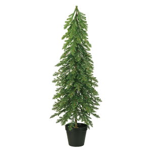 lCeBuc[ GREEN 1R[TDLXV001422]|A[eBtBVt[@ CeAO[@ϗt NX}Xc[