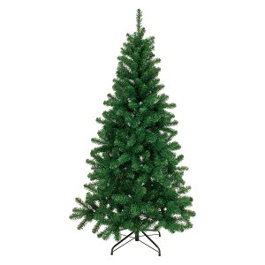 RAgXc[12Fy2Rz GREEN 1{[TDLXV003812]|A[eBtBVt[@ CeAO[@ϗt NX}Xc[