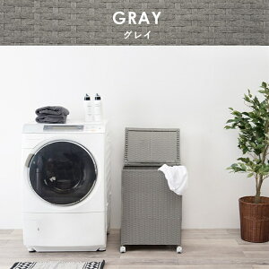 LX^[t[{bNX O[[THU2101973600]|CeA [Ƌ Tj^[`FXg h[ LX^[t ϋv ֐ Vv @\ fUC CeAfUC ėp