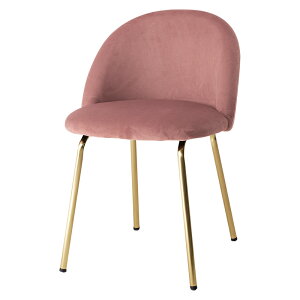 `FA fB[vsN[THU3000001012]|CeA`FA wJ[u LkfUC ֎q `FA