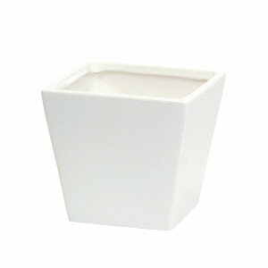 6D5XH6D0cm J[x[XXNGAS 100@VCj[zCg Ԋ x[X Ԋij  [TDLCC144771-100] ϕs| t[ Ԏ AWgpi t[AW