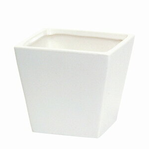 11D0XH9D5cm J[x[XXNGAL 100@VCj[zCg Ԋ x[X Ԋij  [TDLCC144773-100] ϕs| t[ Ԏ AWgpi t[AW