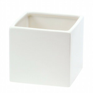 10D0XH9D0cm J[x[XL[uL 100@VCj[zCg Ԋ x[X Ԋij  [TDLCC144778-100] ϕs| t[ Ԏ Ԋ AWgpi t[A