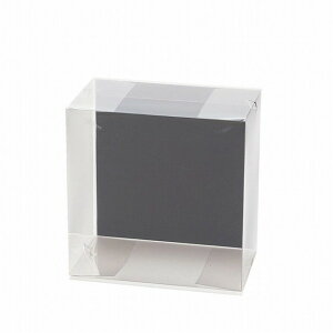 NAP[XAL 000@NA { bsO  pbP[W NAP[X RT[WP[X [TDLCC860820-000] ϕs| Mtg v[g 蕨 {bNX  19cm