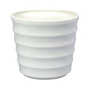 24D0XH20D5cm j[ILXS 1@VCj[zCg Ԋ x[X Ԋij  [TDLCX001605-001] ϕs| t[ Ԏ Ԋ AWgpi t[AW