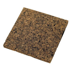 30X3cm YRNV[g hCt[ x[X i ̑ [TDLDC000024] ϕs|VRf  tFCNO[   t fR[V  Cxg p[eB[ t