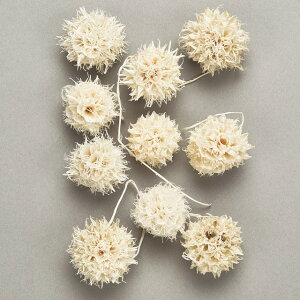 3cm Ao[o[  hCt[  J[ [TDLDO024320-011] ϕs|VRf  tFCNO[   fR[V  Cxg p[eB[ t[AW