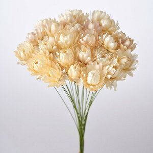 L��20cm �������e���C���[�t �z���C�g �h���C�t�����[ �t�����[ �i�`������ [TDLFD003021-001] ������ϕs��|�V�R�f�� ���� �t�F�C�N�O���[�� ���� ���� ���t �f�R���[�V���� ���� �C�x���g �p�[�e