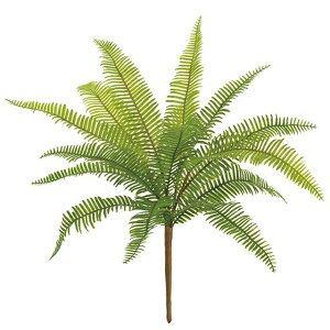 �p�[���t�@�[���u�b�V�� GREEN ���� �O���[�� ���[�t �����A�� �V�_ �t�@�[�� [TDLFG001309] ������ϕs��