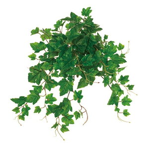 GNXeAO[voC GREEN  O[ [t A O[v[t [TDLFG001493] ϕs