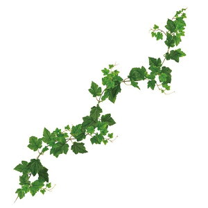 GNXeAO[vK[h GREEN  O[ [t A O[v[t [TDLFG001494] ϕs