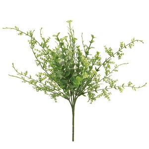 �~�b�N�X�O���[���u�b�V�� GREEN ���� �O���[�� ���[�t �����A�� ���̑� [TDLFG001581] ������ϕs��