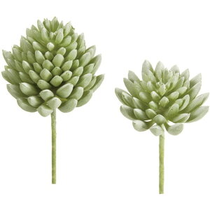 Z_A\[gsbN 15@WH^WGR  O[ [t A [TDLFG001632-015] ϕs