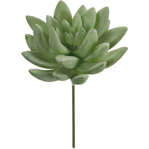 Z_@v} 15@WH^WGR  O[ [t A [TDLFG001733-015] ϕs