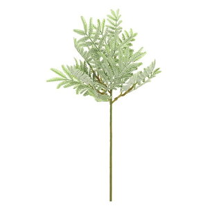 AJVAsbN GREEN  O[ [t A ̑ [TDLFG001982] ϕs