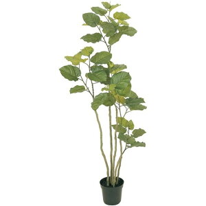 W70XH165cm Ex[^ GREEN  CeAO[ ϗt [TDLFG005227] ϕs|lHϗtA tFCNO[ lH CeA  Xܑ fBXvC  