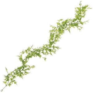 ofBAt@[K[h GREEN  O[ [t A V_ t@[ [TDLFG006205] ϕs