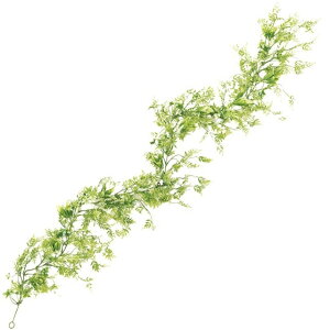 [Xt@[K[h CRDGR  O[ [t A V_ t@[ [TDLFG007716] ϕs