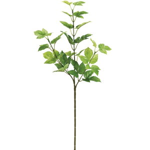 [vACr[Xv[ LTDGR  O[ [t A ACr[ [TDLFG008149] ϕs