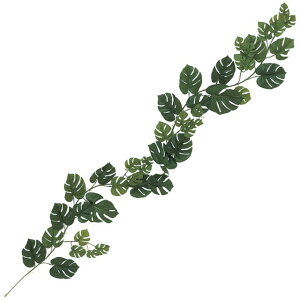 XeK[h GREEN  O[ [t A Xe [TDLFG009105] ϕs