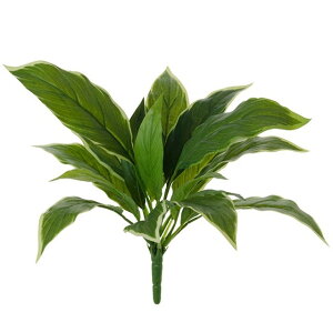 fBtFoLAubV YE^GR  O[ [t A ̑ [TDLFG009180] ϕs