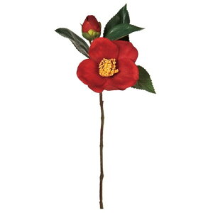 椿 生花の人気商品 通販 価格比較 価格 Com 椿 生花の人気商品 通販 価格比較 価格 Com