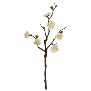 t~@S 1@@WHITE  t[ ~ [TDLFJ002057-001] ϕs|NNn   Xܑ t fBXvC t[ tFCN tFCNt[ ~ zCg