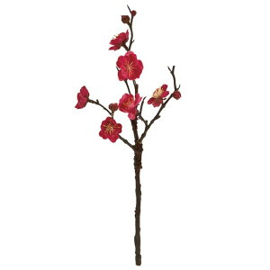 t~@S 16@BEAUTY  t[ ~ [TDLFJ002057-016] ϕs|NNn   Xܑ t fBXvC t[ tFCN tFCNt[ ~ sN